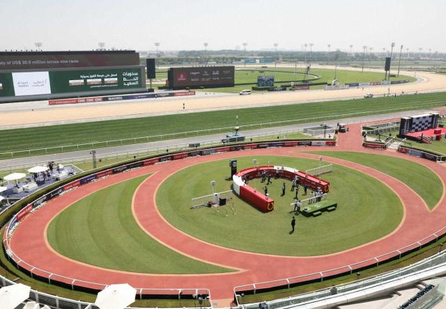 ポインセチアS覇者ロックターミガンがUAEダービー招待受諾　C・デムーロと新コンビ結成