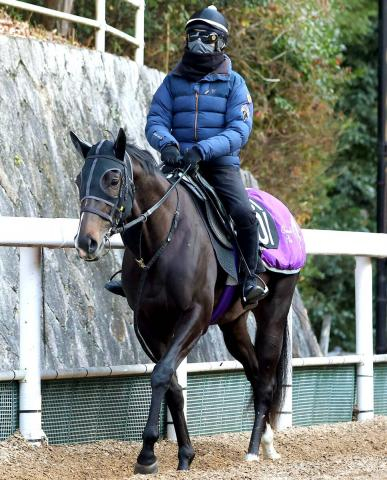 【きさらぎ賞】5億9000万円馬エムズビギンは頭差2着惜敗　川田将雅騎手「成長は見せてくれました」