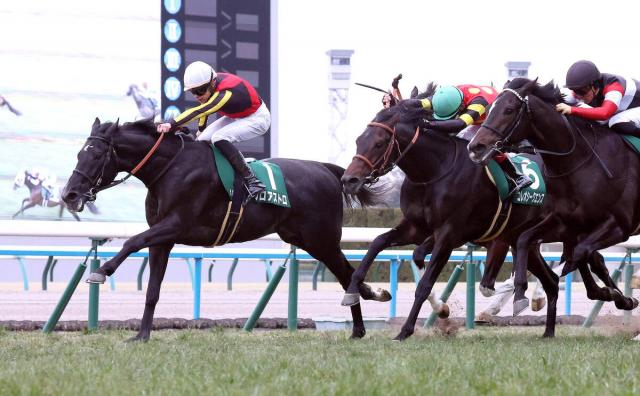 想定外の缶詰状態から重賞初制覇に「お前えらすぎる」「走るんかーい!」　ゾロアストロにネット脱帽