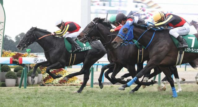 【きさらぎ賞】ゾロアストロ　最内強襲　三度目の正直で重賞初制覇　いざクラシック戦線へ