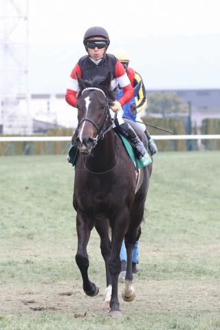 【きさらぎ賞】2着エムズビギン　賞金加算には成功も川田「勝ち切るところまではいけませんでした」