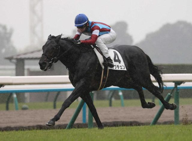 【共同通信杯】ロブチェン　始動戦不安なし　杉山晴師「年末からの疲れもない」