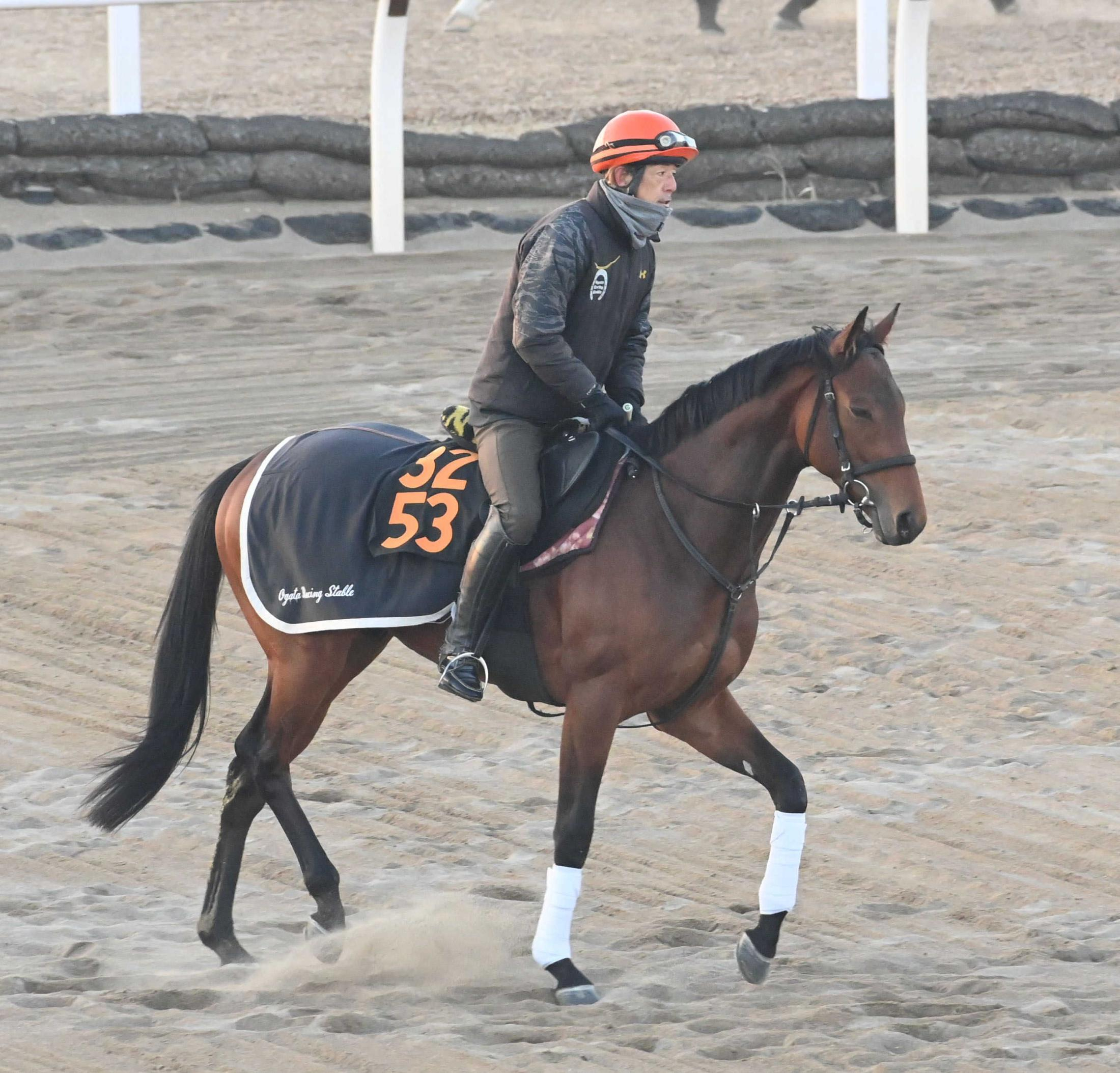 【共同通信杯】サノノグレーター　出世レースで一気に春の主役だ　前走・葉牡丹賞は３馬身差レコード勝ち　　