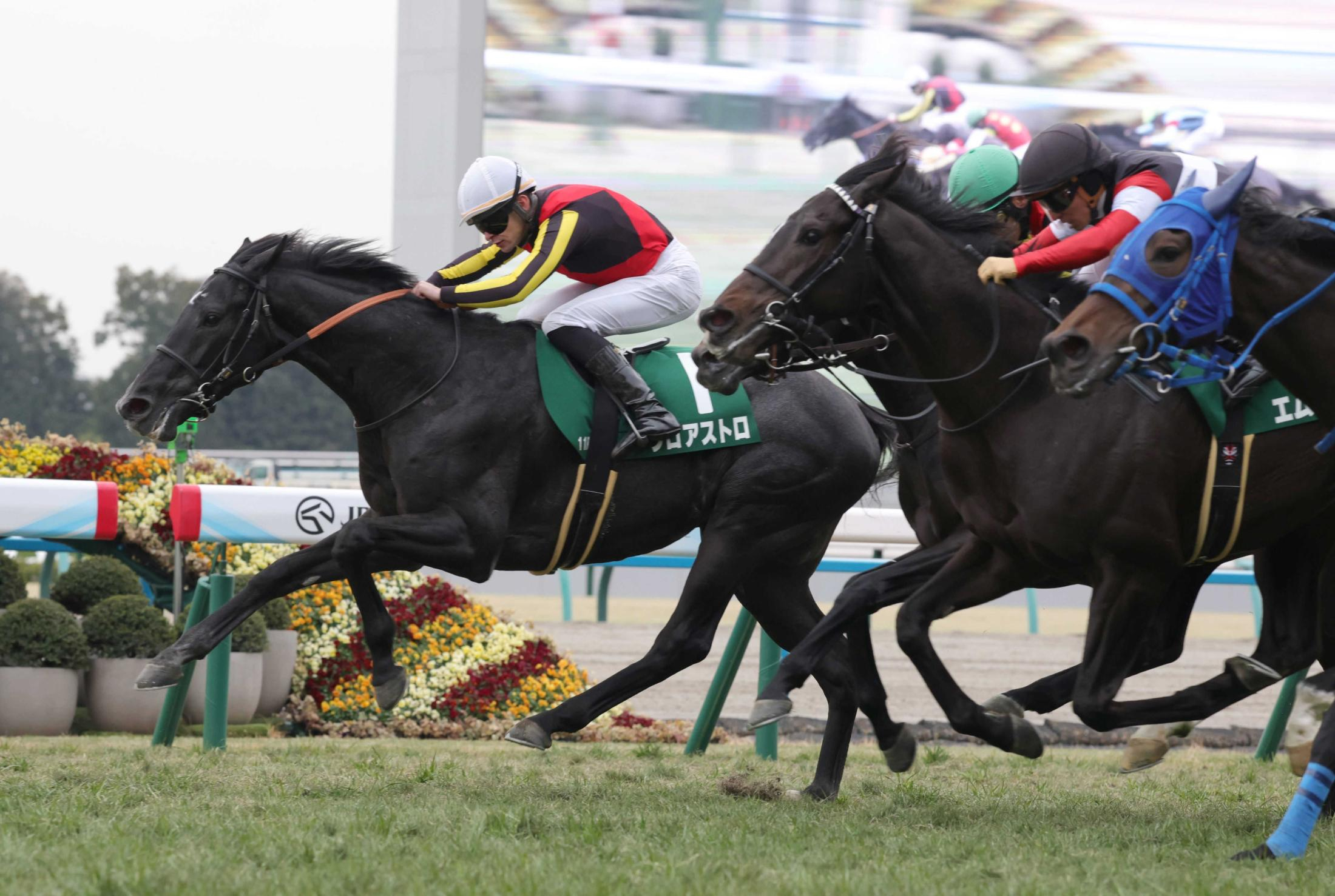 【きさらぎ賞】ゾロアストロ　３度目の正直！重賞初制覇　宮田師「馬にも人にとっても、大きな自信に」　今後は皐月賞→ダービーが有力