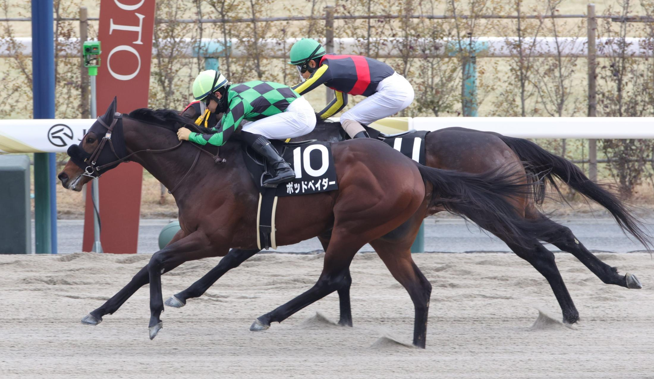 【大和Ｓ】ポッドベイダー　ゴール前で競り落とし５勝目　鮮やかな変わり身に荻野極「体がしっかりとつくれていた。このまま順調に」