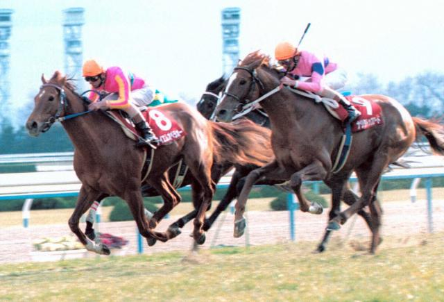 【追憶の京都記念】00年テイエムオペラオー　6戦ぶりに勝った!伝説の連勝ロードがここから始まった