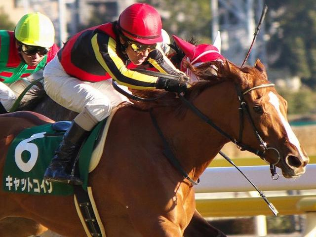 のちの二冠牝馬を抑え無傷3連勝 キャットコインが制した“バレンタイン決戦”の15年クイーンC