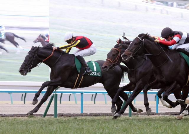 【きさらぎ賞】ラスト100メートルでスイッチ入った!開催2日スライド乗り越えゾロアストロ重賞初制覇