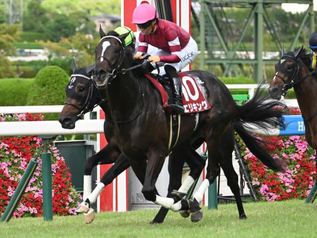 【京都記念想定騎手】エリキングは川田将雅騎手、ヘデントールはC.ルメール騎手