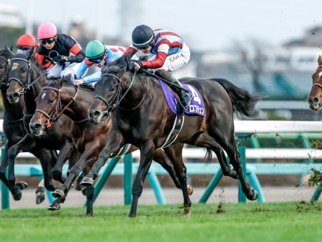 【共同通信杯想定騎手】ロブチェンは松山弘平騎手、リアライズシリウスは津村明秀騎手