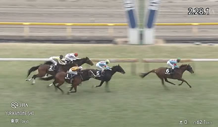 【ゆりかもめ賞】3歳世代の真打ちアローメタル