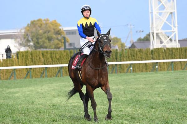 【京都記念予想】京都記念は「外差し」のトラックバイアス