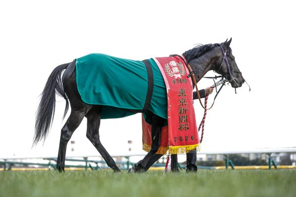【京都記念 AI予想】今週は見解が一致！  AIの注目馬はレースの傾向からも魅力十分