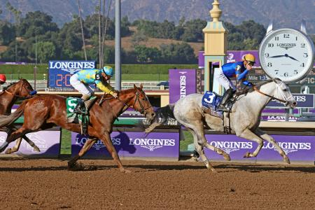 デルマソトガケなんかで2着になれる時代のBCクラシックの1着なんか価値ないよな？