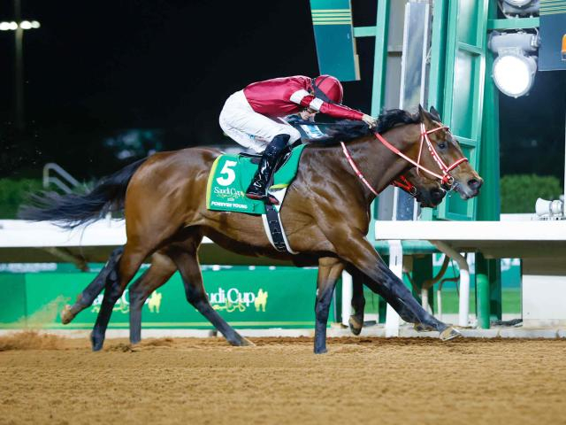 【サウジC枠順】日本馬3頭出走 連覇狙うフォーエバーヤングは6番ゲート