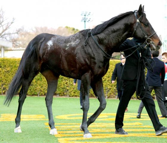 【佐賀記念】カゼノランナーが6馬身差をつけて重賞初制覇　1番人気のカズタンジャーは4着に敗れる