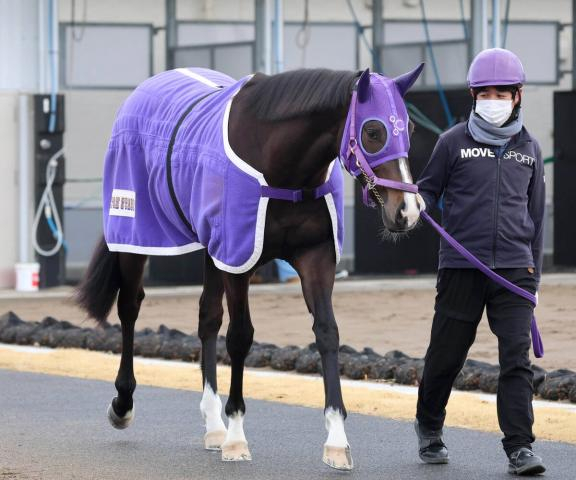 【POG】厩舎ゆかりの血統タマモブレイキン　伊藤圭調教師「きょうだいも走っているし、いい競馬ができそう」