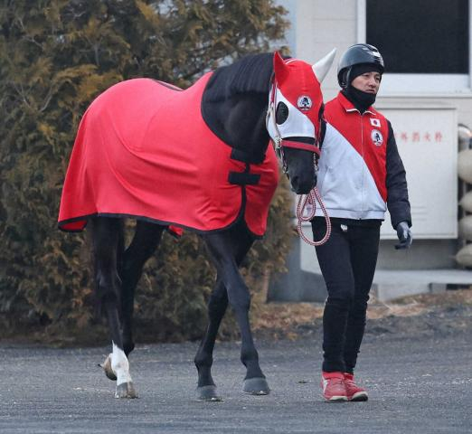 【京都記念】リビアングラス　待望の重賞初制覇へ　完成期迎える6歳馬「今も若々しい」