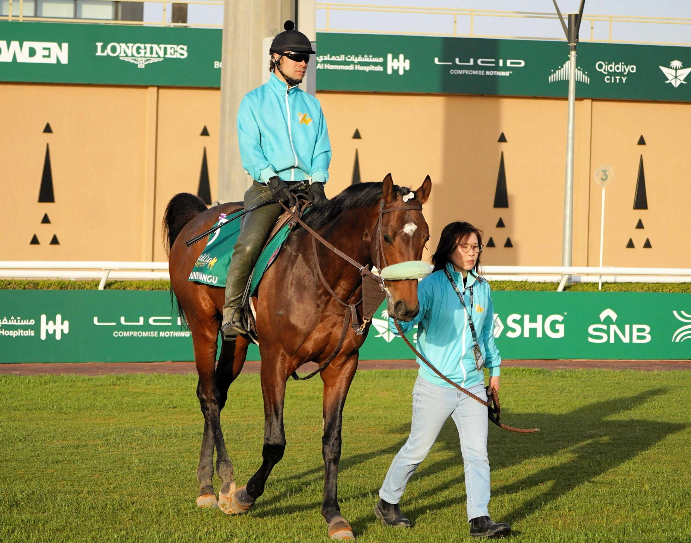 【サウジＣ】サンライズジパング　打倒王者へ１番枠に決定　前川師「追い切りの反動もなく順調」