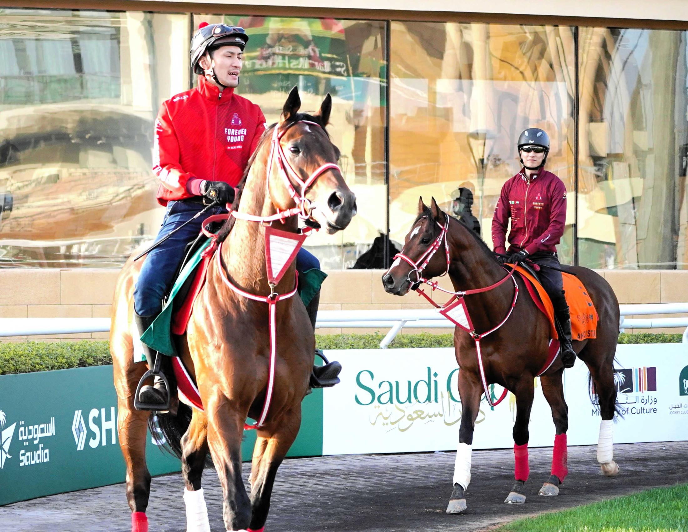 【サウジＣ】フォーエバーヤング　いざ連覇へ６番枠に決定　逃げ選択も示唆　矢作師「すっかり仕上がっている」