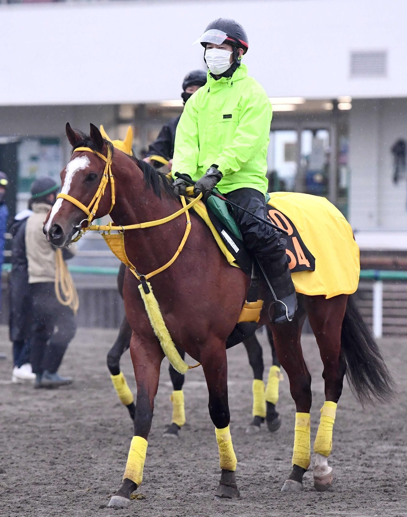 【新馬戦】モンスターラッシュ　高木師がべた褒め「とにかくいい」　両親ともに砂で実績残した良血エリート
