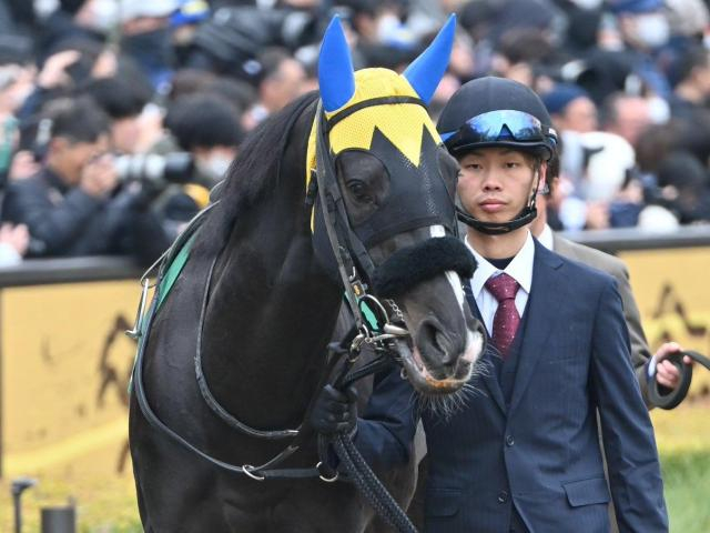 【バレンタインS】半姉はディアドラ 23年きさらぎ賞馬フリームファクシが約1年ぶりの復帰戦だ