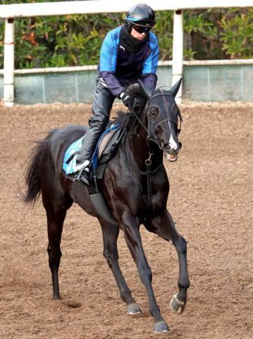 【洛陽S】約1年11か月ぶり勝利へニホンピロキーフは順調な仕上がり　大橋調教師「ここは勝たないと」　昨年は3着