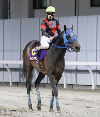 地方所属馬が海外で快進撃…立役者が思うこと