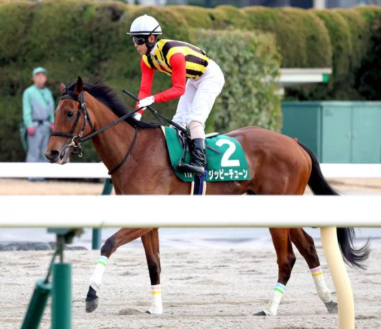 【クイーンC】11番人気のジッピーチューン激走2着にも北村友一騎手「テンションは心配です」