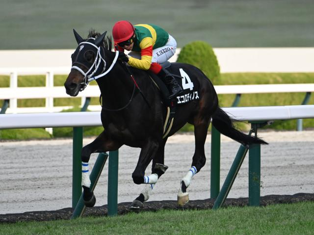 【京都記念予想】前走で重賞に出走していた馬に良績が集中！ 格下から参戦する馬に求められる好走条件とは