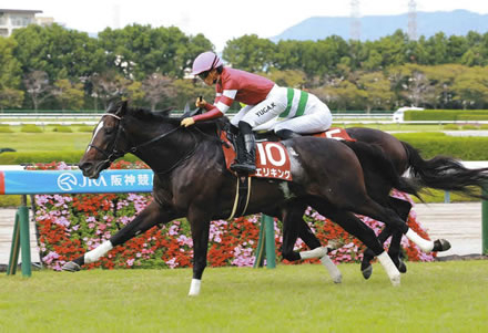 【競馬予想】[2]第119回京都記念(GⅡ) /2026