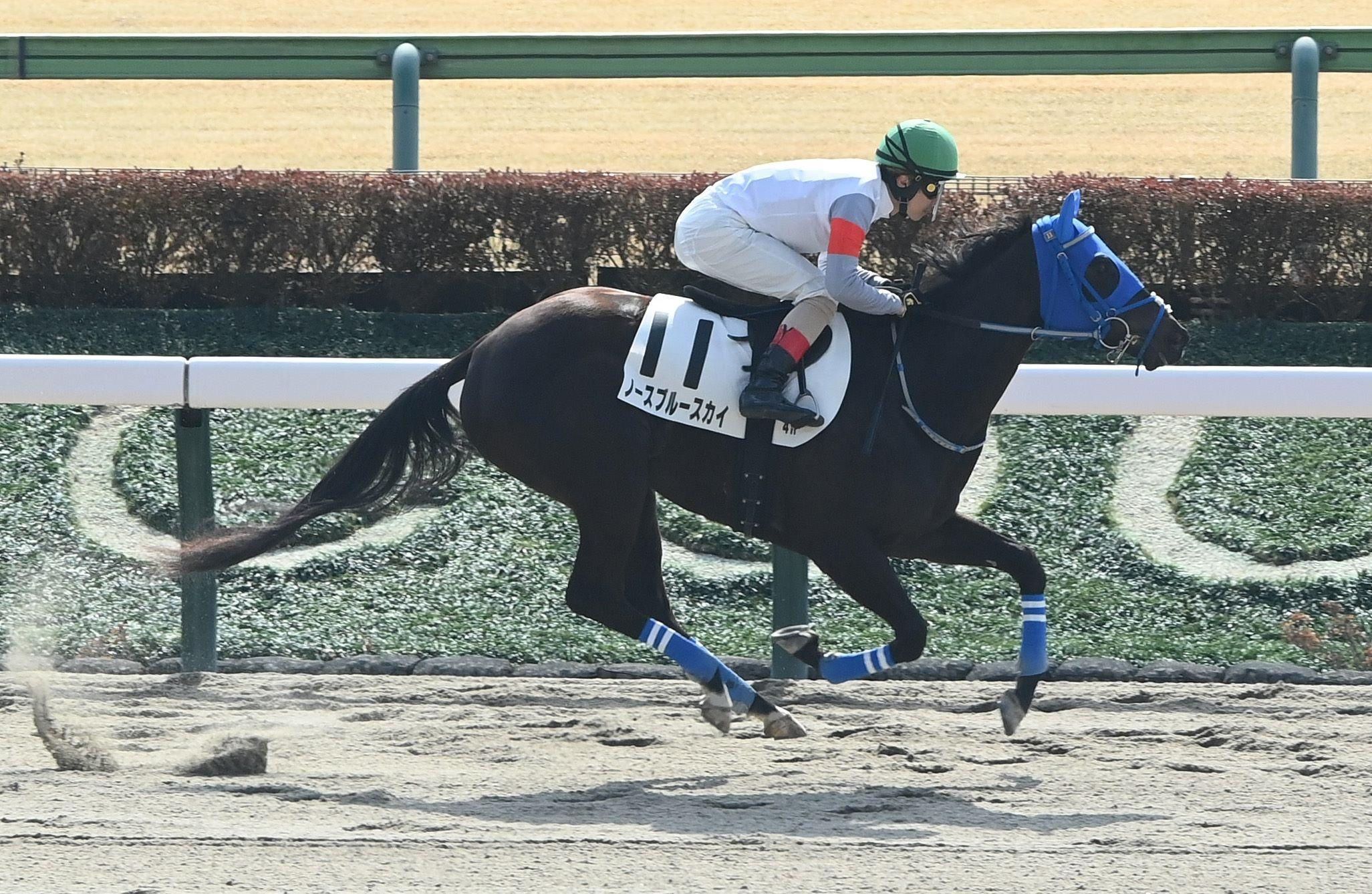 【新馬戦】ノースブルースカイ押し切り初陣Ｖ　堀内師「１２００メートルあたり」今後を示唆