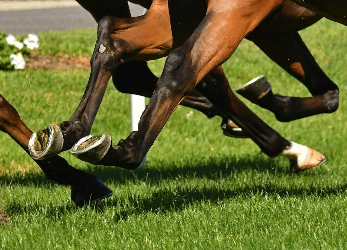 キャリーオーバー発生中のＷＩＮ５がバカ売れ！　大金ゲットを夢見る投票が激増　早くも２週間前の投票数を上回る