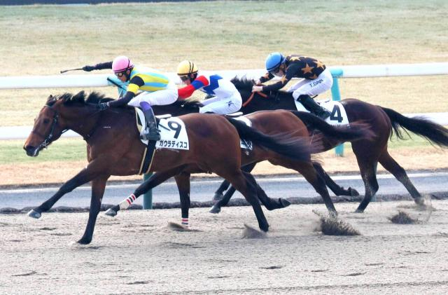【京都1R・3歳未勝利】第2回京都競馬最終日の初戦は武豊騎手騎乗のガウラディスコが鮮やかに差し切る「もっと走れそう」