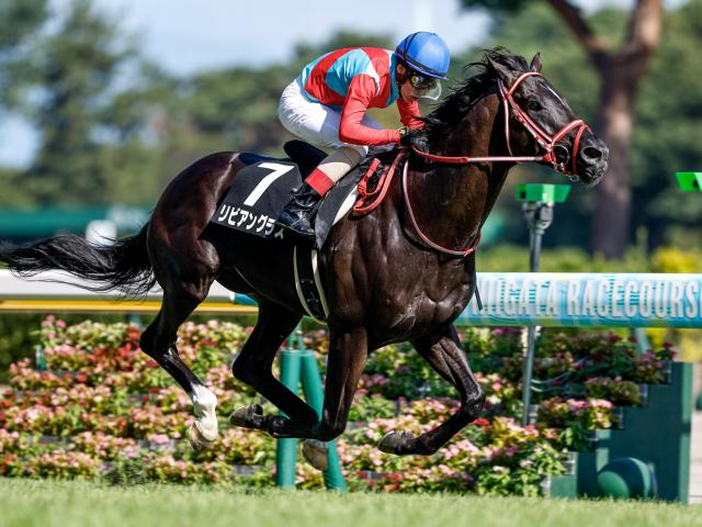 京都記念は前残りに要注意 リビアングラス＆エコロディノスが狙い目だ