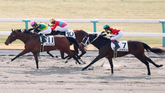 【京都2R】2010年以来の珍記録?　1分15秒5の遅いタイムでの決着　26年前にはさらにすごい時計も