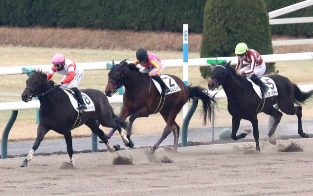 【京都4R・3歳1勝クラス】怪物候補ダノンバーボンが圧巻の2連勝　西村淳也騎手「馬が期待に応えてくれました」