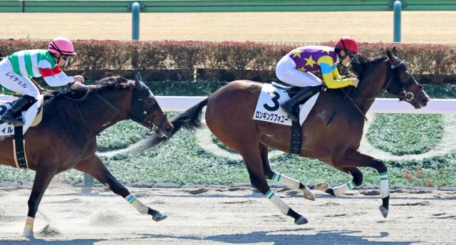 【東京4R・3歳1勝クラス】荻野極騎手「遊びながら走ってますが…」前走7着で人気落ちのロンギングフォユー快勝