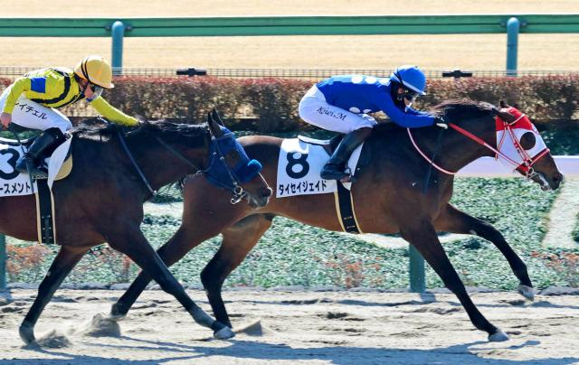 【東京3R・3歳新馬】母は交流重賞V　矢作厩舎のタイセイジェイドが力強く抜け出す　松山弘平騎手「強い競馬でした」