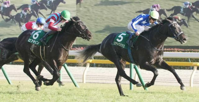 【共同通信杯】ロブチェン3着　好発も壁つくれず…松山「思っていた以上に誤算」