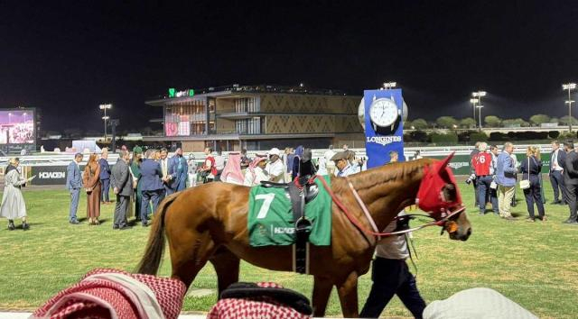 【ネオムターフC】シンエンペラー4着　スタート悔やむ　矢作師「内枠がアダになりました」