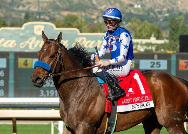 【サウジC】ナイソス2着　外から迫るも…バファート師「YAHAGI師には今回も感服させられた」