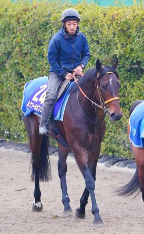 【サウジC】ルクソールカフェ5着　追い上げ届かず…モレイラ無念「ゲートが不運」