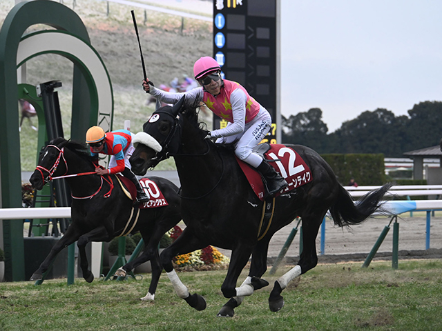 【京都記念回顧】ジューンテイクが古馬中距離戦線の主役に名乗り 展開を味方にする先行馬の矜持