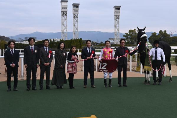 【フェブラリーS AI予想】逆らう必要はなさそう!? AIが注目している連軸候補を徹底分析