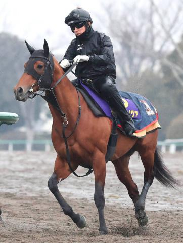 【フェブラリーS】史上3頭目の連覇狙うコスタノヴァ3か月ぶりの実戦も気配一変　陣営「ようやく本来の走り」