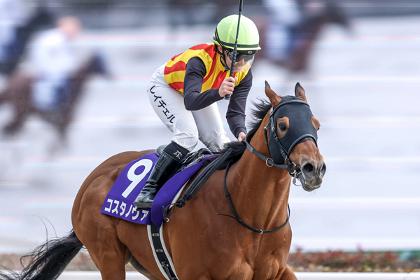 【フェブラリーS予想】今年のフェブラリーSは「中枠が有利な馬場」になる理由