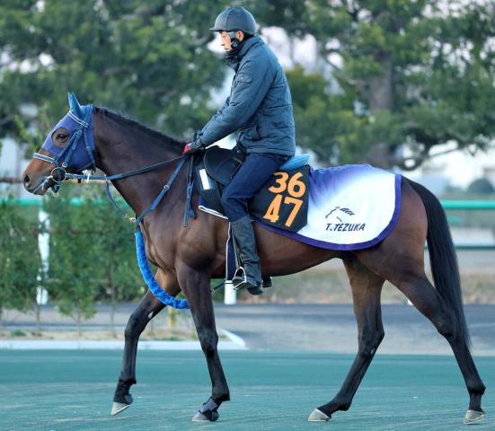 【雲取賞】対戦相手の比較から力量上位のマクリール　手塚久調教師は「力は足りそう」…出走馬の陣営コメント