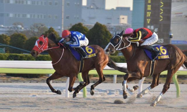 【大井競馬　雲取賞】リアライズグリント　追い上げ封じ重賞初V　