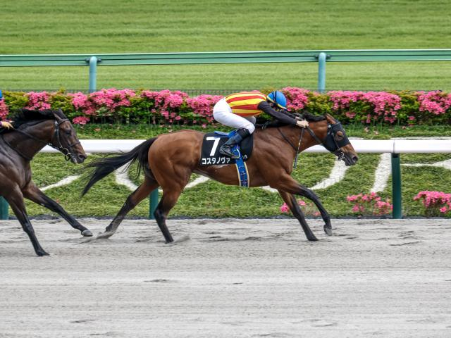 【フェブラリーS出走馬・騎手確定】コスタノヴァ＆C.ルメール騎手、ダブルハートボンド＆坂井瑠星騎手など16頭